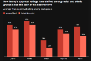 助力特朗普连任的少数族裔选民正在逐渐流失，华盛顿邮报采访了三个典型，有人依旧抱有希望