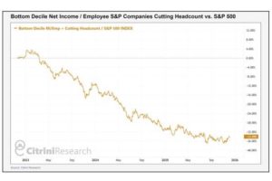从设备端人工智能到“女友指数”，这家精准预测2025年投资主题的公司，分享了他们的交易理念