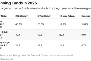 这三只基金今年打败了指数，那他们的经理未来看好哪些股票呢