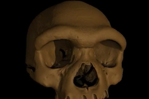 丹尼索瓦人究竟是谁？关于现代人类神秘“表亲”的起源，科学界正展开激烈辩论