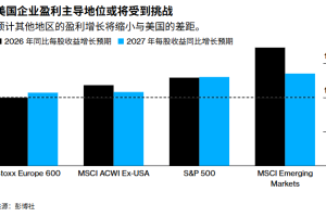 2026年极度看涨的股票投资者，需要关注这些事项