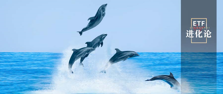 悄悄破了。。意味着什么？