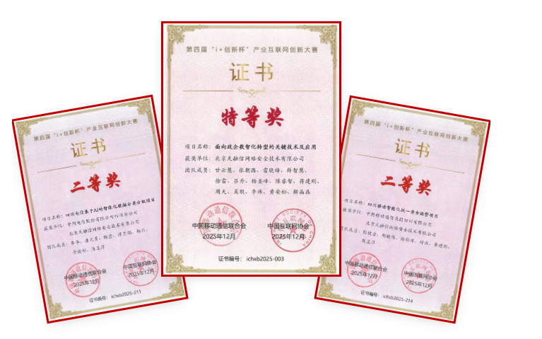 天融信摘得特等奖！