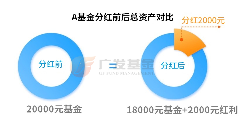 从0开始学债券投资丨基金分红之后，为什么账户反而“亏损”了？