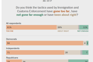 民调显示，美国选民对驱逐移民问题意见分歧，但普遍厌恶ICE的作法