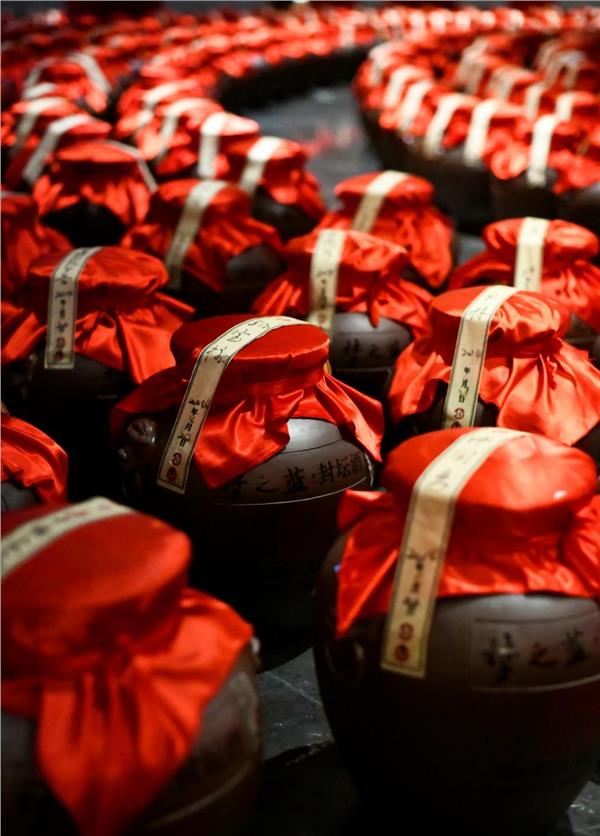 储能为基，势能转化：洋河以70万吨原酒筑牢高质量发展根基