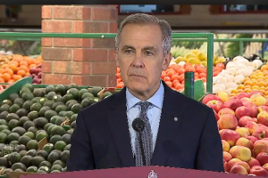 加拿大总理卡尼宣布一系列缓解生活成本压力的措施，否认正在为新的大选作准备