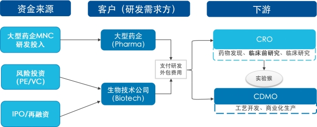 CXO景气度研究框架：从实验猴价格看近期CXO高景气