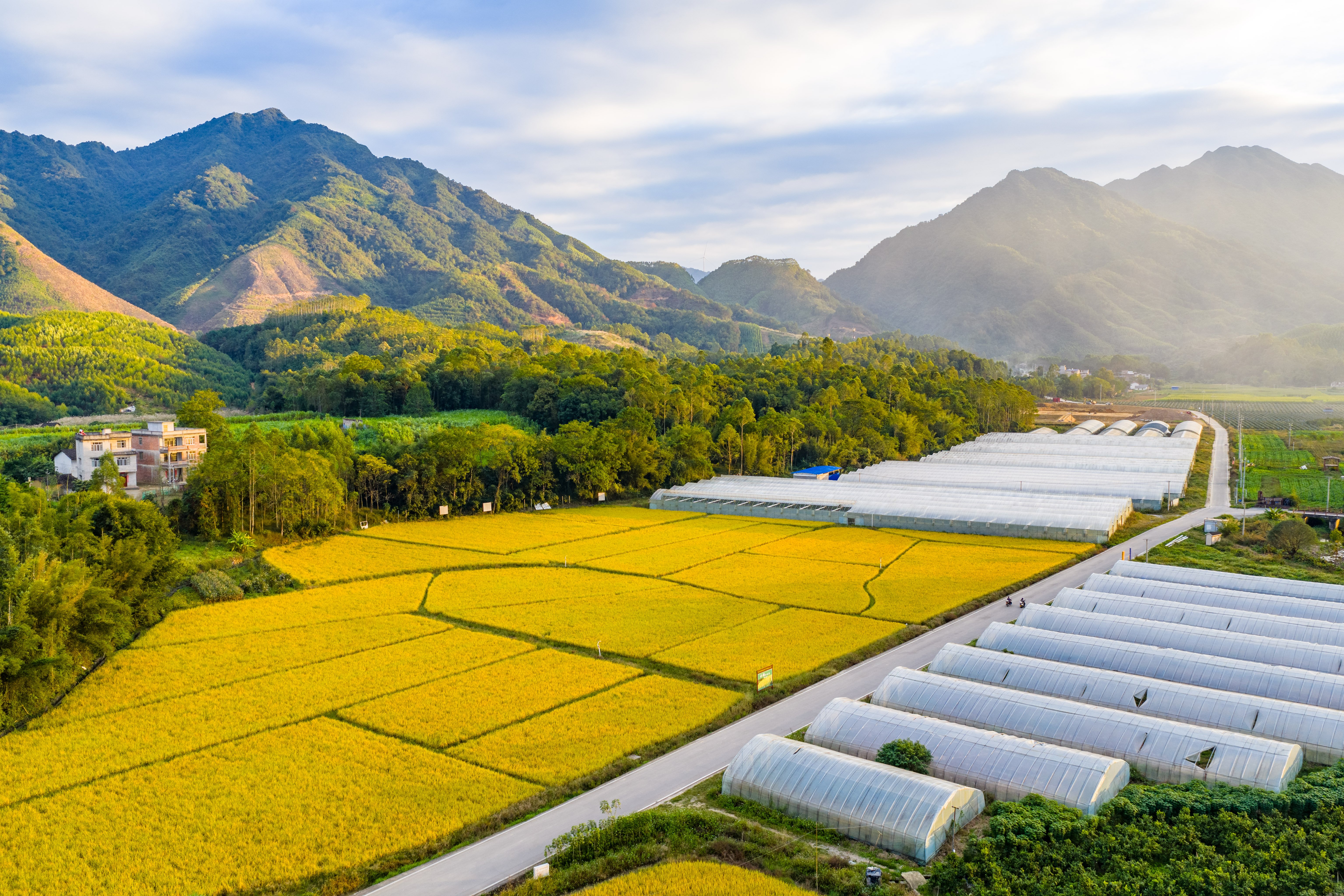 今年“三农”工作重点明确！韩文秀最新发声