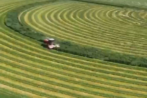 美国的研究发现，中国在塔克拉玛干沙漠周围种植了大量树木，将这片“生物空白区”变成了碳汇