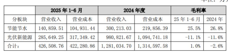 双良节能：上交所“打假”股价应声跌停，高负债与续亏压力并存