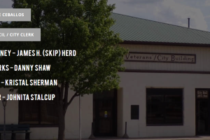 一个共和党和特朗普选民非法投票的故事：一路当选市长，说自己不清楚公民才能投票