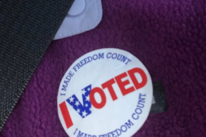 分析：特朗普钟爱的选民身份证法案可能正好砸了共和党的脚 ，那为什么民主党还反对？