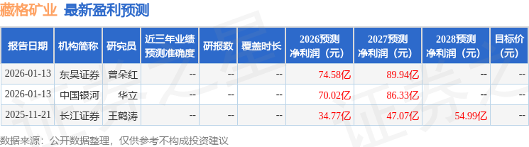 东吴证券：给予藏格矿业买入评级，目标价119.0元