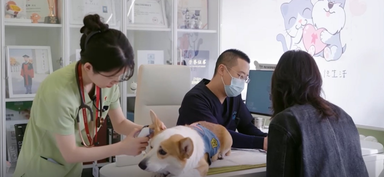 京东保宠物险升级！创新推出365天新宠保障、药品100%直赔