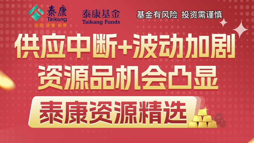 供应中断+波动加剧，资源品机会凸显