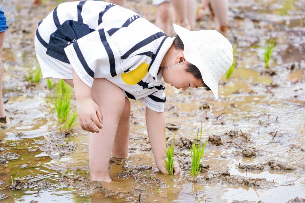 同程旅行“星芽计划”升级，聚焦孤独症青少年发起文旅“职业探索”