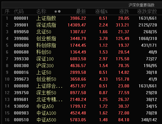 A股又大涨！险资，大动作