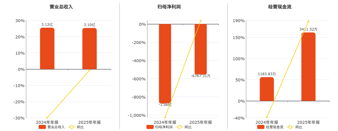 法尔胜(000890.SZ)：2025年年报净利润为-6767.31万元