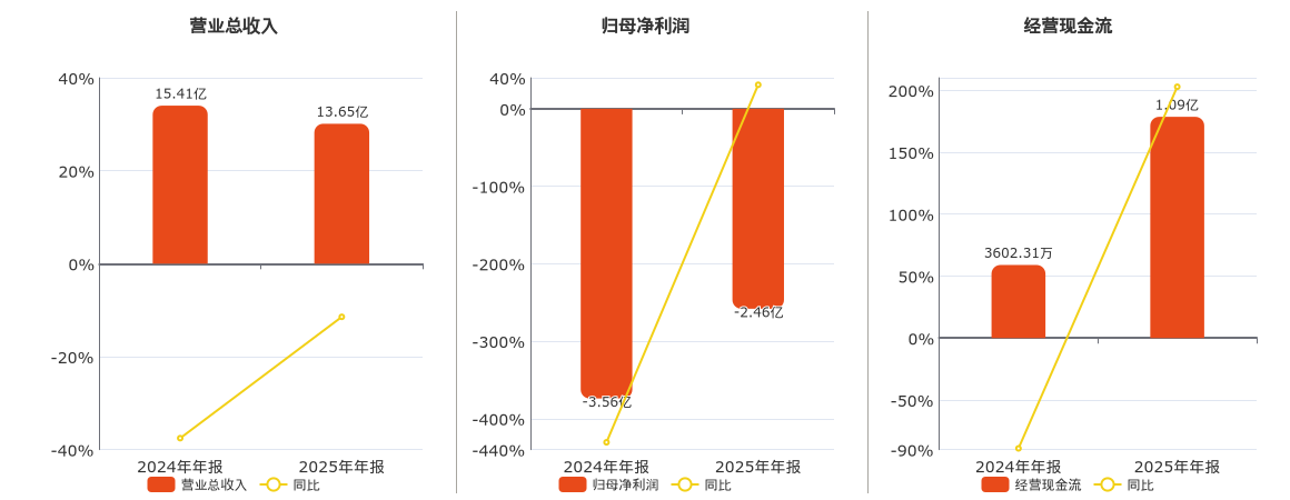 谱尼测试(300887.SZ)：2025年年报净利润为-2.46亿元