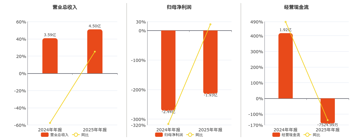 岱勒新材(300700.SZ)：2025年年报净利润为-1.93亿元