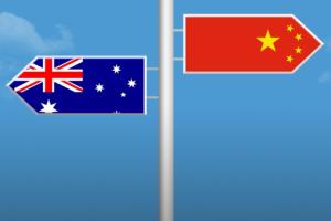 中澳最新消息！澳大利亚华人向国会提交联署请愿书 尽快引进中国疫苗 强调7.7亿人接种已证明安全有效