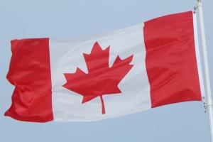 恢复仍遥遥无期！加拿大FSWP联邦技术移民计划审批已停1年 市场短缺压力引发争议