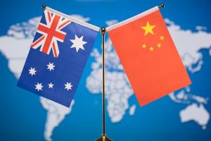 中澳突迎新局！澳媒调查：澳大利亚华裔选民如何看2022联邦大选结果？