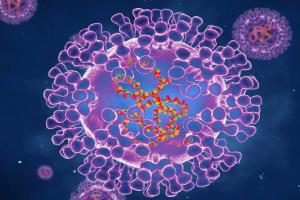 美国快速警戒！国家储备提拨29.6万剂疫苗 防止猴痘306病例再扩散 世卫：密切监测威胁演变