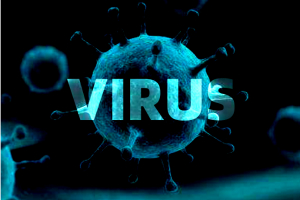 又一种新病毒来袭？中国多所学校爆发“鼻病毒”群聚感染 症状与新冠类似