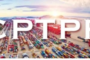 重磅！中方正式提出申请加入《全面与进步跨太平洋伙伴关系协定》（CPTPP）