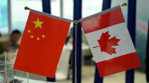 中加贸易喜讯！中国取消加拿大油菜籽进口限制 限令三年该行业损失“惨重”