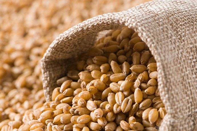 中国为何数十年来首次采购阿根廷小麦？