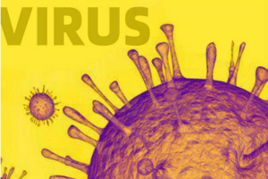 疫情最新消息！全球新冠病毒感染人数超1300万 美国确诊病例突破341万例、佛州破单州日增病例纪录