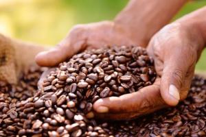 全球咖啡价格猛涨！巴西正遭遇百年来最严重干旱，哥伦比亚和越南供应链又出问题……