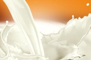 乳制品价格要跌了？新西兰牛奶产量激增或在全球市场产生“反响” 投行下调价格预测