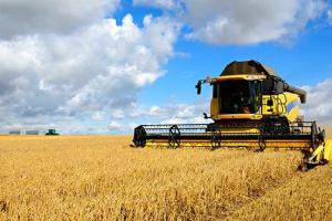 谷物和植物油价格涨涨涨！粮农组织：世界粮食价格达到10年来的最高水平