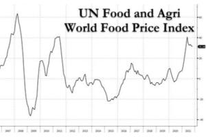完美风暴！？粮食通胀是2022年的危机，而不是供应链……