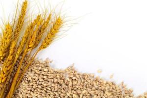 俄乌局势一触即发！小麦期货继续飙升，警惕一场大规模粮食危机