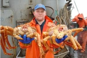 俄罗斯美味大螃蟹大减价！韩国掀起“吃蟹热潮” 该不该吃？民众掀起伦理辩论