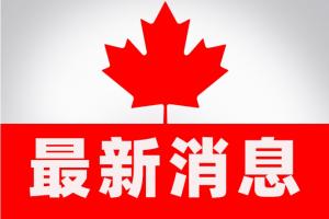 中加贸易！加拿大政府：中国解除对加拿大油菜籽长达数年的进口禁令