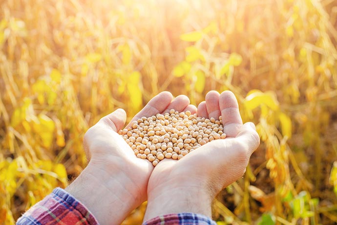 中国刚宣布对美农作物加征关税，隔天上调2025年粮食生产目标