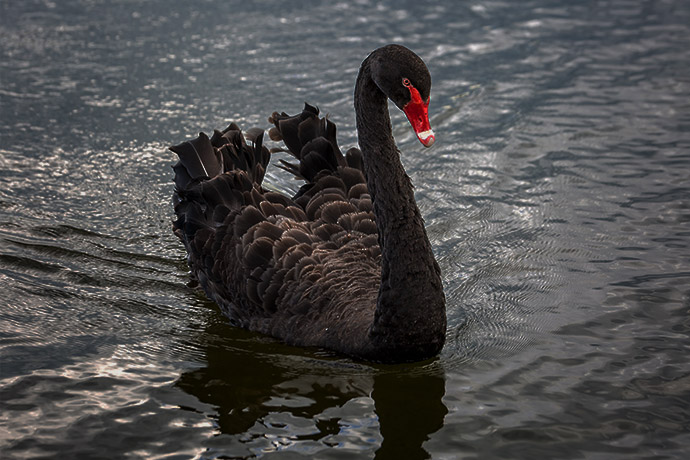 这在以前“不可想象”！中国房地产巨头传来坏消息 警惕中国房市飞出“黑天鹅”