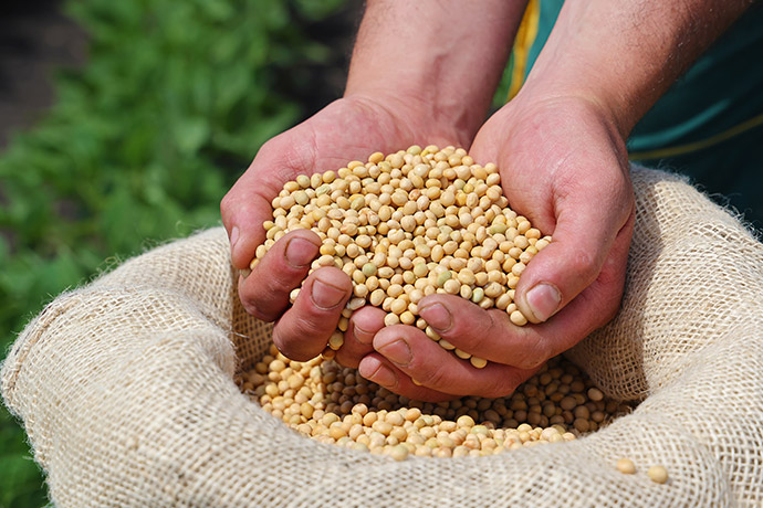 中美贸易最新消息！中国三个月买满1200万吨美国大豆，接下来还买吗？