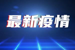 突发新闻！印度G7峰会代表团两名成员的新冠病毒检测呈阳性