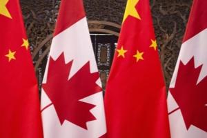 中加最新消息：加拿大连续发生多起涉中国留学生电信欺诈案 中国驻加使馆提醒注意防范