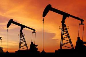 美国公布战略石油储备细节 3200万桶原油拍卖已启动 另有1800万桶原油或于12月提出