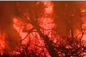 大规模山火席卷美国加州沿岸！场面极为“恐怖” 约500人紧急撤离