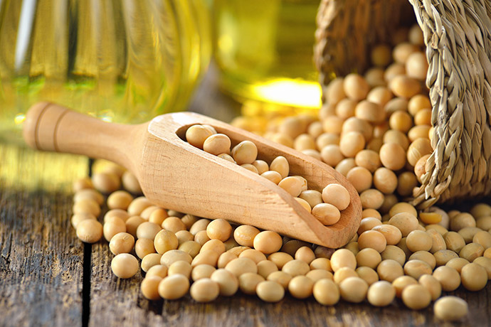 中国买家真的回来了！北京传承诺买至少1200万吨美国大豆，现已购三分之二