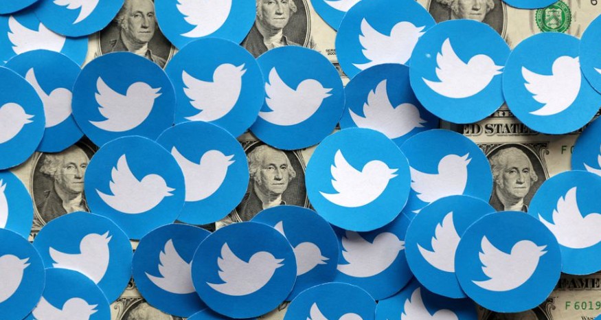 推特因马斯克被“挂在”热搜上！正式启动“蓝V认证”收费，每月$7.99